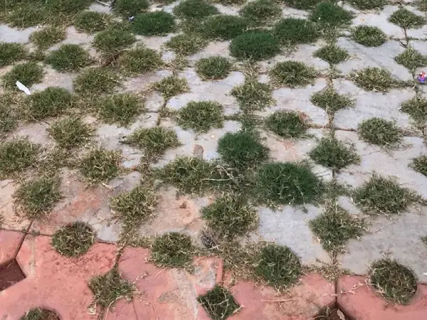 Grass Paver Blocks manufacturers in Ambattur